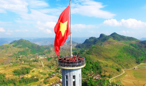 cot co thu ngu tại Đồng Nai