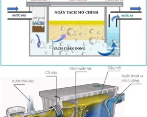 Cấu tạo và nguyên lý hoạt độ